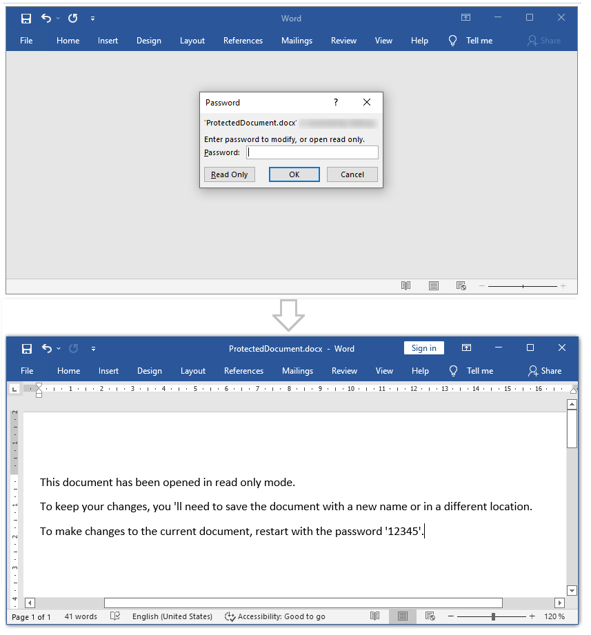 Document Write Protection